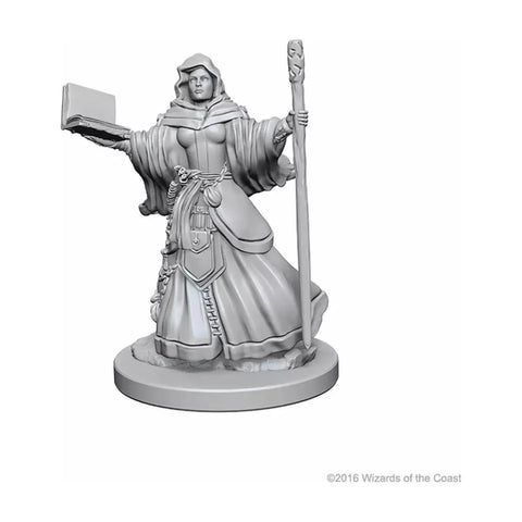 Dungeons & Dragons - Nolzurs Marvelous Miniatures: Human Female Wizard