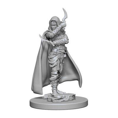 Pathfinder Miniatures Wave 1 - Human Female Rogue