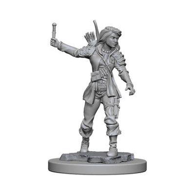Pathfinder Miniatures Wave 1 - Human Female Rogue
