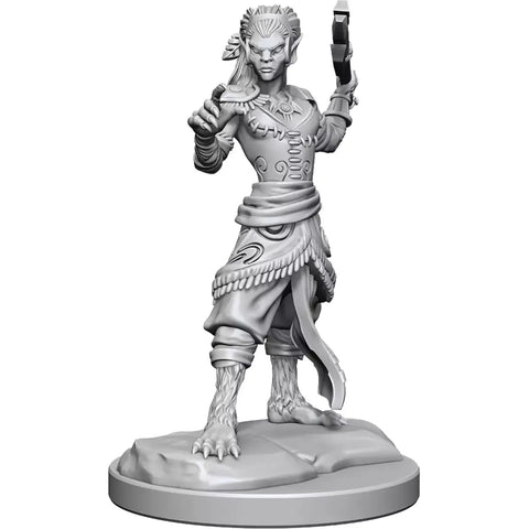 Dungeons & Dragons - Nolzurs Marvelous Miniatures: Shifter Fighter