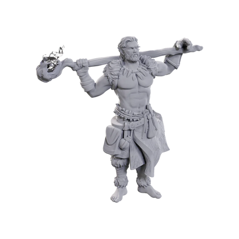 Dungeons & Dragons - Nolzurs Marvelous Miniatures: Archdruid & Martial Arts Adept