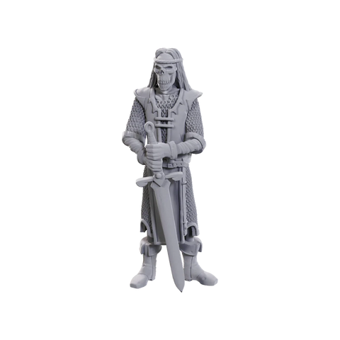 Dungeons & Dragons - Nolzurs Marvelous Miniatures: Limited Edition - 50th Anniversary: Skeleton Knights