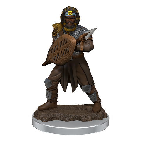 Dungeons & Dragons - Icons of the Realms: Premium Miniatures - Human Fighter Male