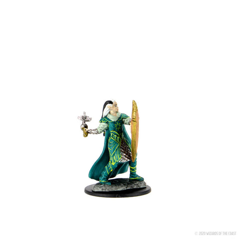 Dungeons & Dragons - Icons of the Realms: Premium Miniatures - Elf Paladin Male