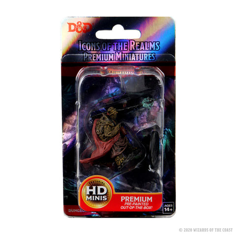 Dungeons & Dragons - Icons of the Realms: Premium Miniatures - Tortle Monk Male