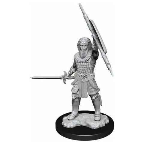 Dungeons & Dragons - Nolzurs Marvelous Miniatures: Human Male Fighter