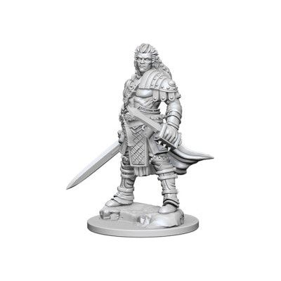 Pathfinder Miniatures Wave 1 - Human Male Fighter