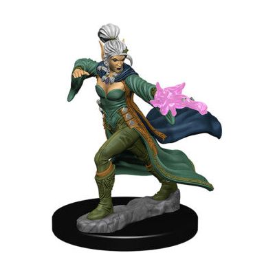Pathfinder Miniatures Wave 1 - Elf Female Sorcerer