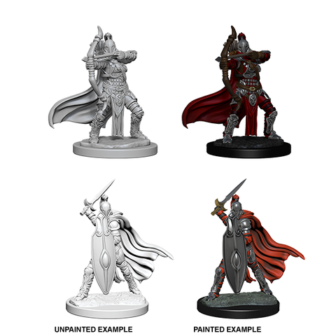 Pathfinder Miniatures Wave 6 - Female Knights / Gray Maidens