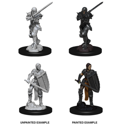 Dungeons & Dragons - Nolzurs Marvelous Miniatures: Female Human Fighter