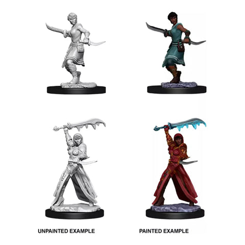Dungeons & Dragons - Nolzurs Marvelous Miniatures: Female Human Rogue