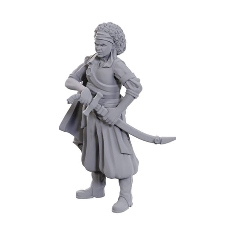 Dungeons & Dragons - Nolzurs Marvelous Miniatures: Ansalon Human Rogue