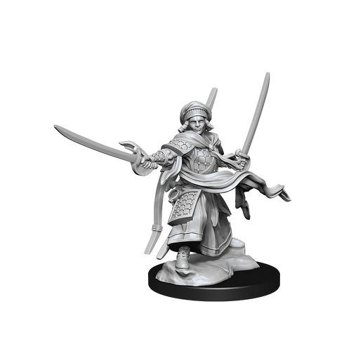 Dungeons & Dragons - Nolzurs Marvelous Miniatures: Human Ranger Male