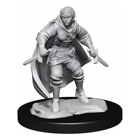 Dungeons & Dragons - Nolzurs Marvelous Miniatures: Half-Elf Rogue Female