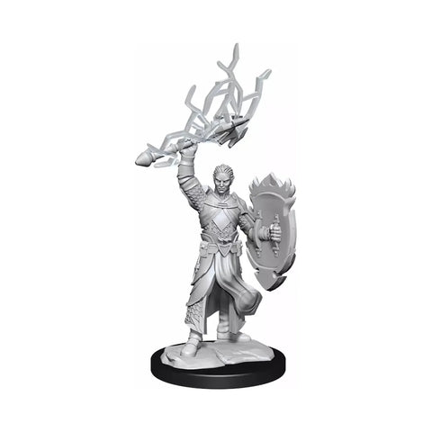 Dungeons & Dragons - Nolzurs Marvelous Miniatures: Half-Elf Paladin Male
