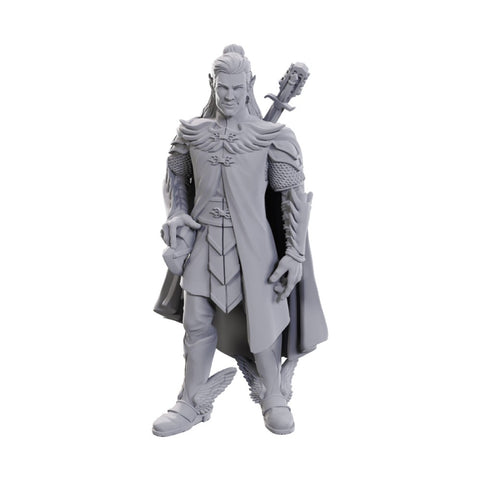 Critical Role - Unpainted Miniatures: Dorian Storm