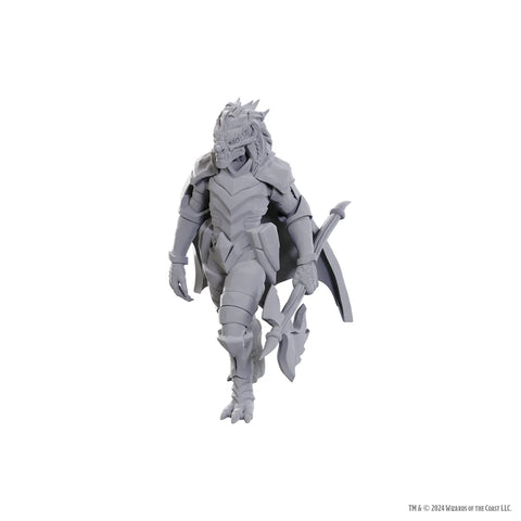 Dungeons & Dragons - Nolzurs Marvelous Miniatures: Dragonborn of Tiamat