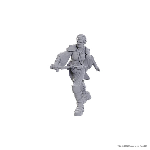 Dungeons & Dragons - Nolzurs Marvelous Miniatures: Swashbuckler