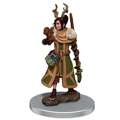 D&D Icons Of The Realms: Premium Figures Wave 7 - Human Druid Female