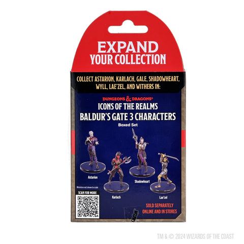 Dungeons & Dragons - Icons of the Realms: Adventures from Baldur's Gate Booster