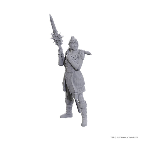 Dungeons & Dragons - Nolzurs Marvelous Miniatures: Special Edition - Baldur's Gate 3: Lae'zel & Shadowheart