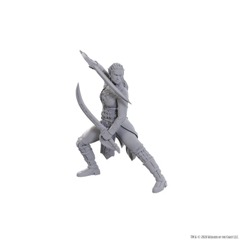 D&D Nolzurs Marvelous Miniatures - Baldurs Gate 3: Jaheira & Halsin