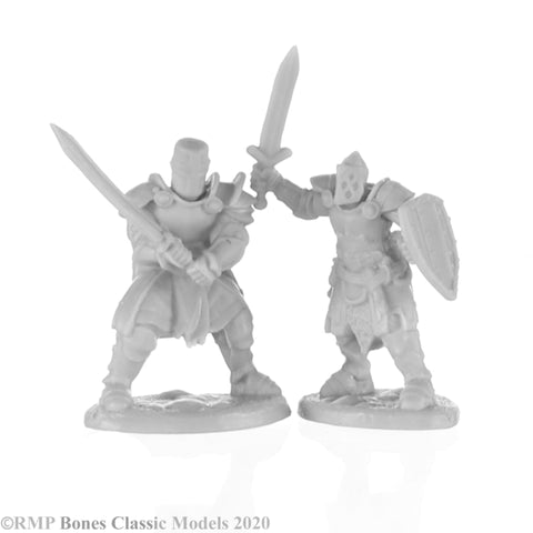 Reaper Bones: Knight Heroes (2)
