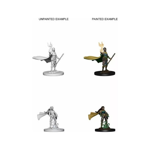 Dungeons & Dragons - Nolzurs Marvelous Miniatures: Elf Female Druid