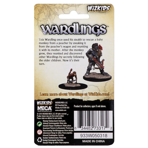 WizKids Wardlings Painted Miniatures: Boy Rogue & Monkey