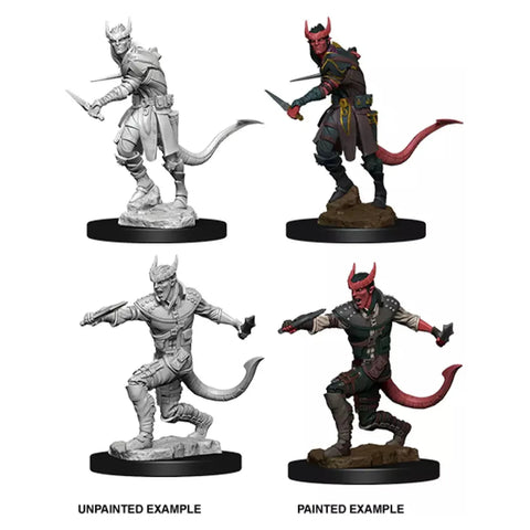 Dungeons & Dragons - Nolzurs Marvelous Miniatures: Tiefling Male Rogue