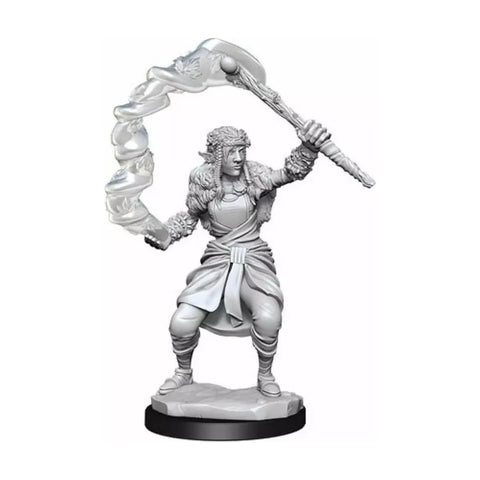Dungeons & Dragons - Nolzurs Marvelous Miniatures: Firbolg Female Druid