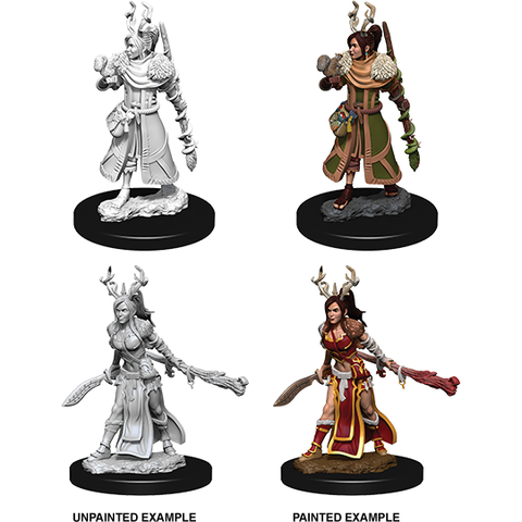 Dungeons & Dragons - Nolzurs Marvelous Miniatures: Female Human Druid