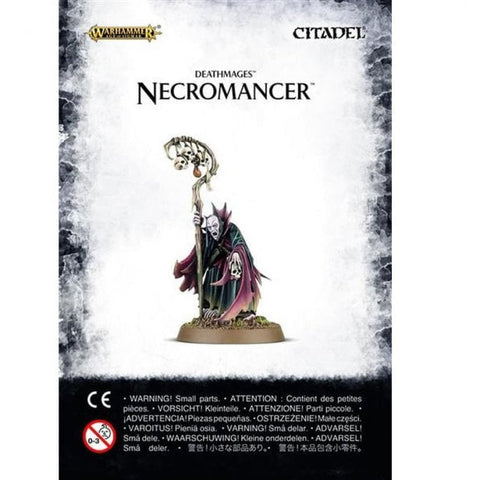Age of Sigmar - Soulblight Gravelords: Necromancer (91-34)