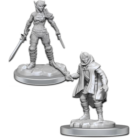 Dungeons & Dragons - Nolzurs Marvelous Miniatures: Elf Rogue & Half-Elf Rogue Protege